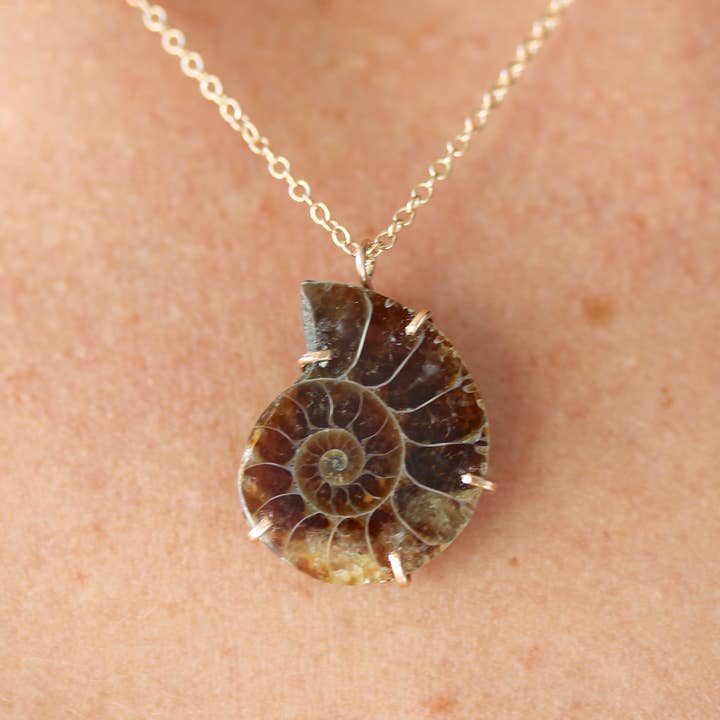 Alana Douvros Jewellery - Vendita all'ingrosso Collana con ciondolo/pendaglio - Collana Fossile di Ammonite