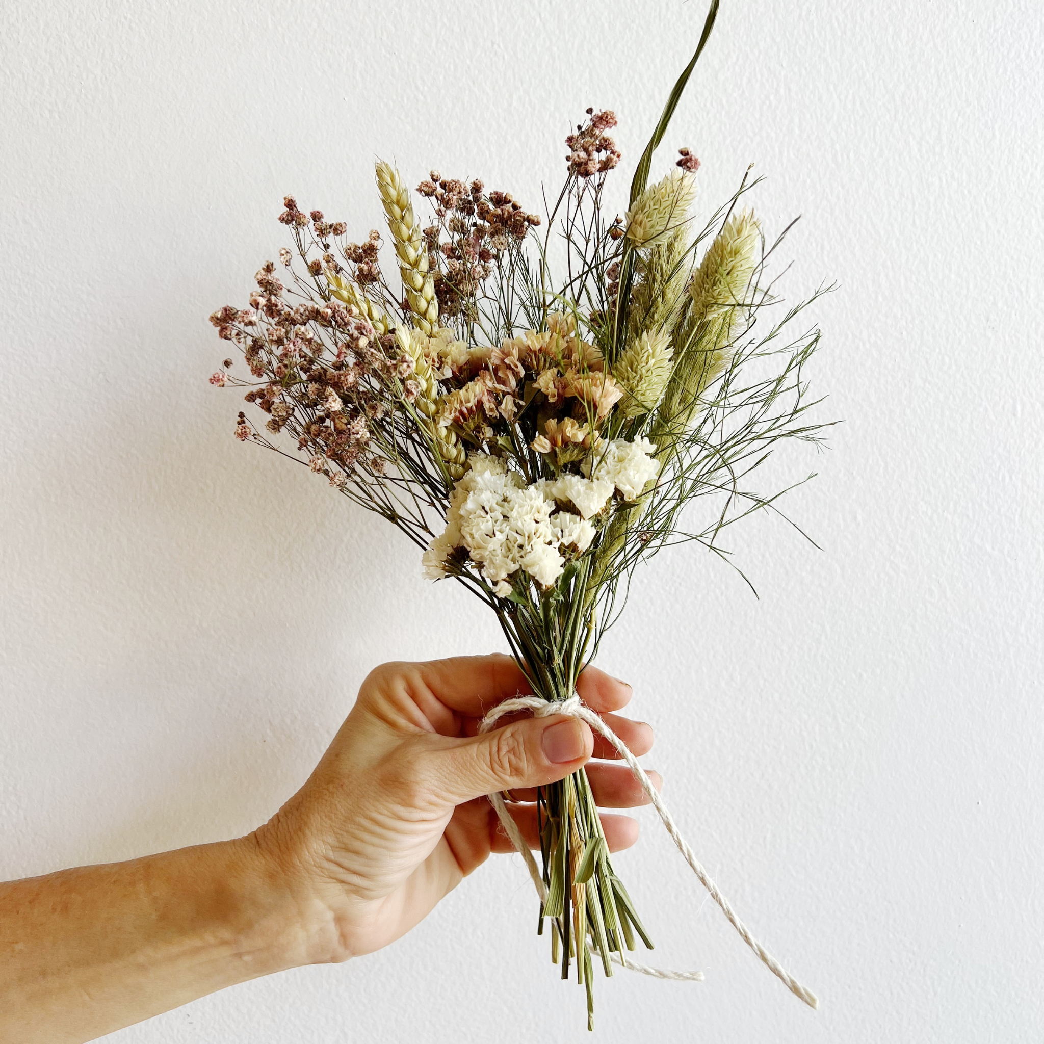 House of Lilac - Wholesale Dried/Pressed Flowers - Classic & Chic Dried Flower Bundles3