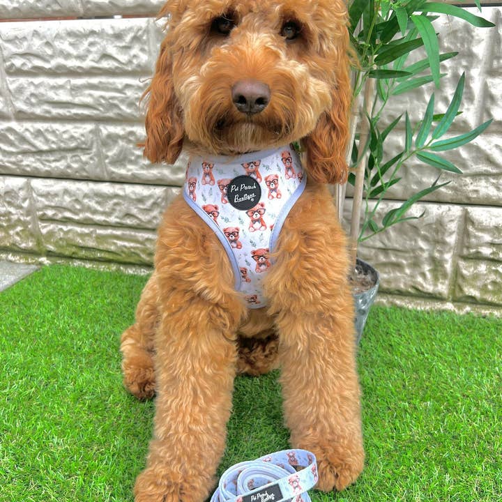 Pet Pooch Boutique - Wholesale Pet harness – Dog - Rusty Bear Puppy Dog Harness 7