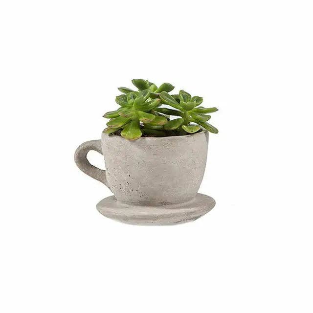Mothology Home - Wholesale Plant Pot - Concrete "Tea & Coffee" Cup Planter2