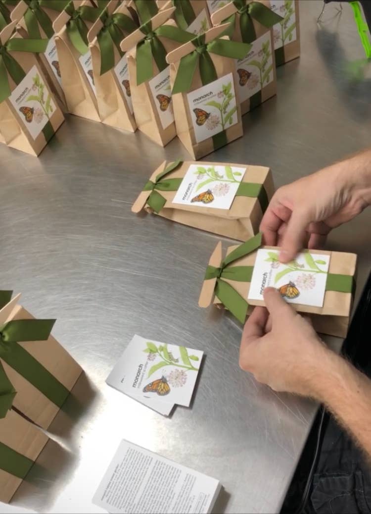 Potting Shed Creations, Ltd. - Wholesale Plant Seeds - Scatter Garden | Monarch Butterfly Milkweed | Pollinators1