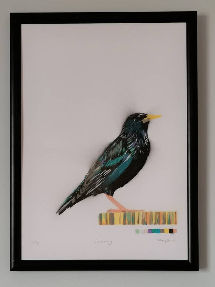 Starling for wholesale by Bell's Galleries