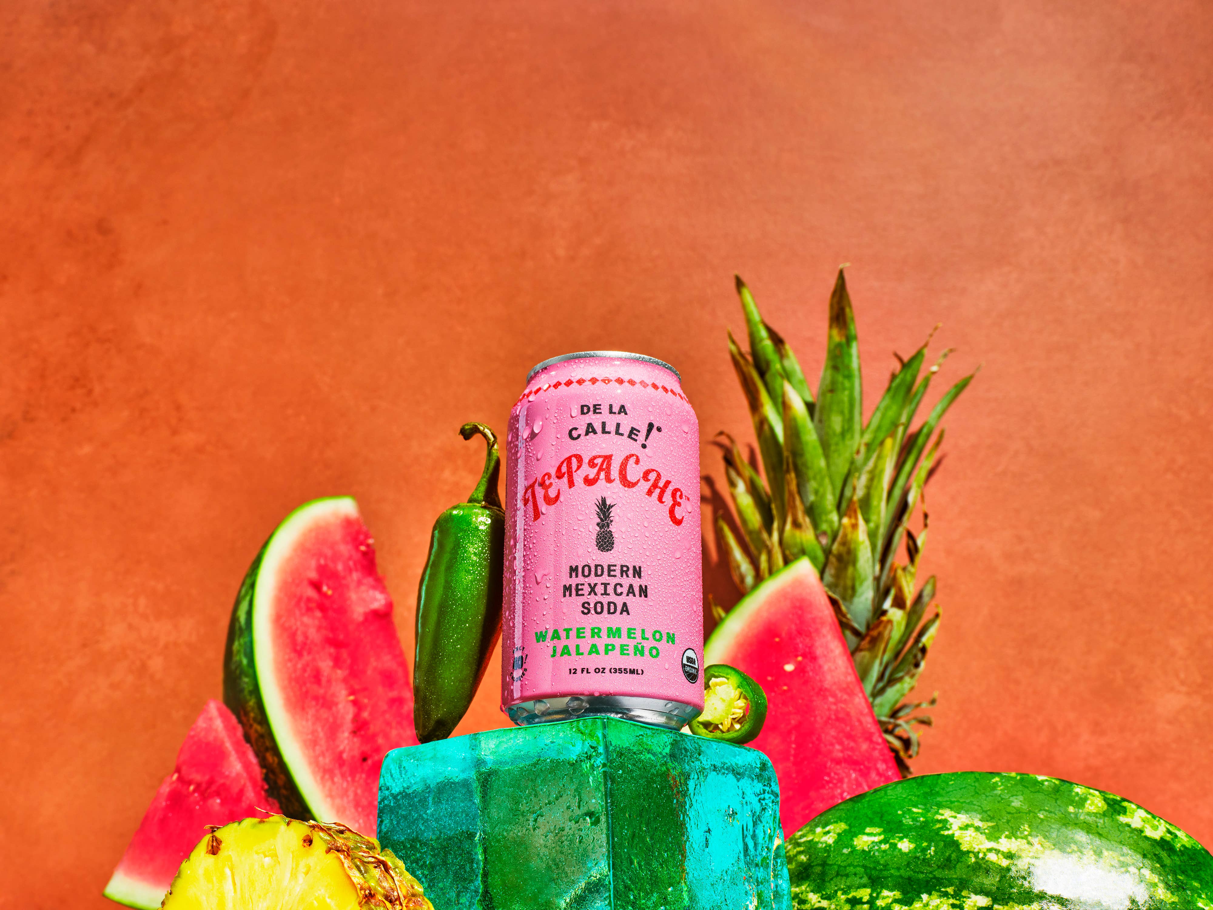 De La Calle - Wholesale Soda/Carbonated Drink - De La Calle Watermelon Jalapeno Tepache Fermented Beverage (12 Pack)