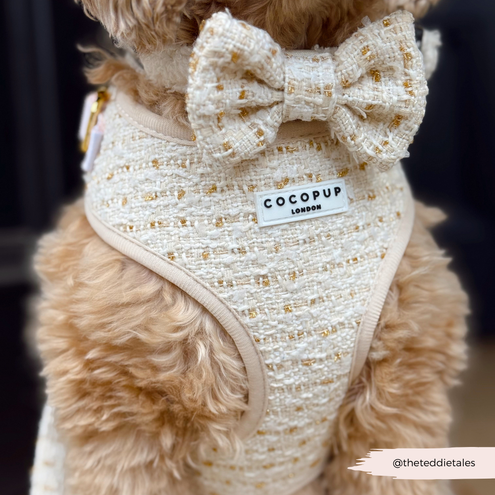 Cocopup London - Wholesale Tuig voor huisdieren - Hond - Vanillekleurig Getextureerd Tweed Verstelbaar NekHARNAS12