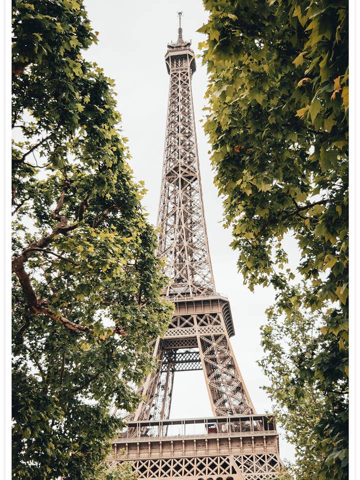 Eiffel Tower Beautiful Paris Print for wholesale by The Underdog Print Shop