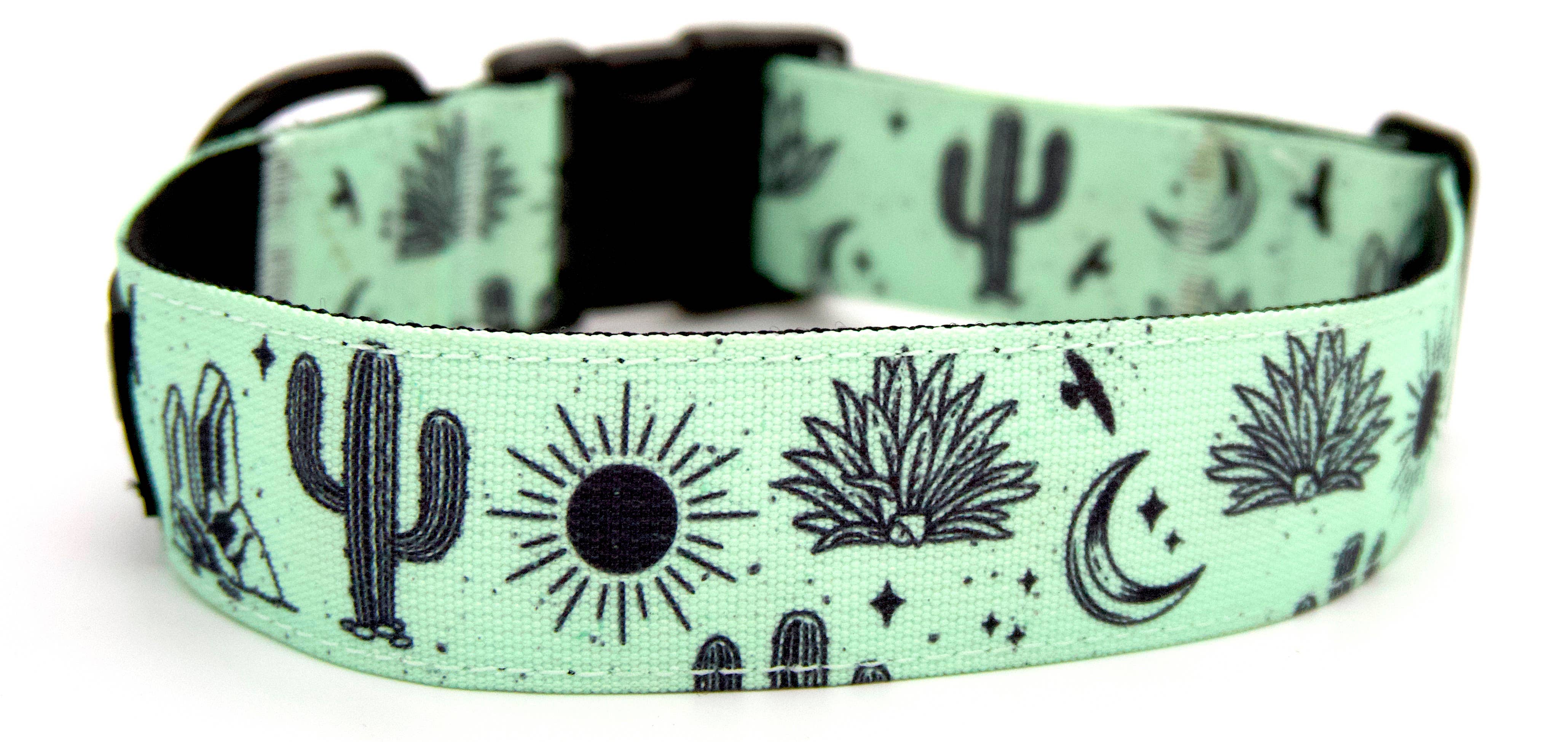 Outback Hound - Wholesale Pet Collar - Dog - Agave Dog Collar3