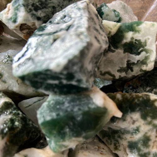 WHOLIFECO - Wholesale Spiritual Stone/Crystal - Raw Tree agate healing stone