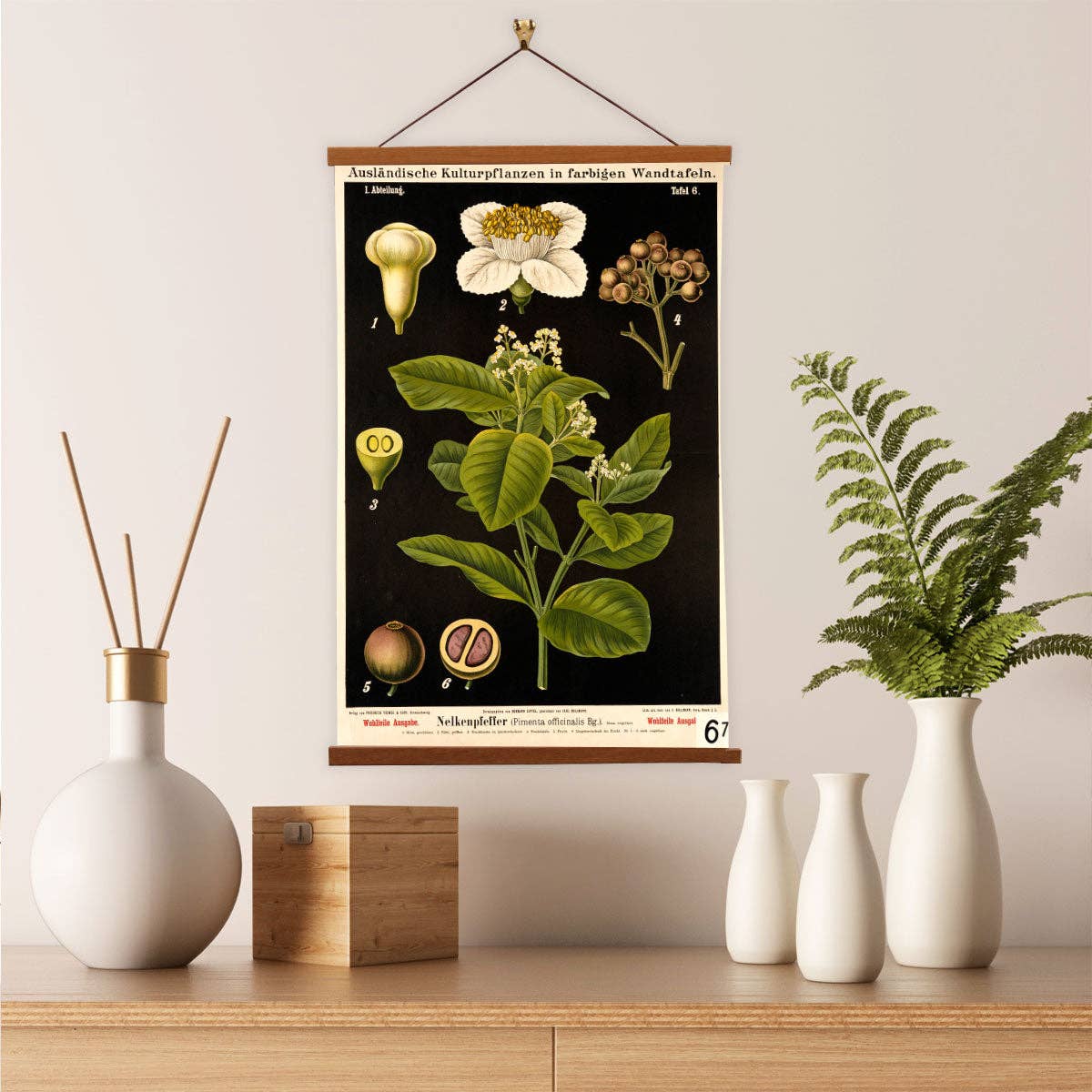 Vintage Banners - Vente Affiche d'art - Art mural en toile botanique florale Zippel imprimé poivre de Jamaïque2