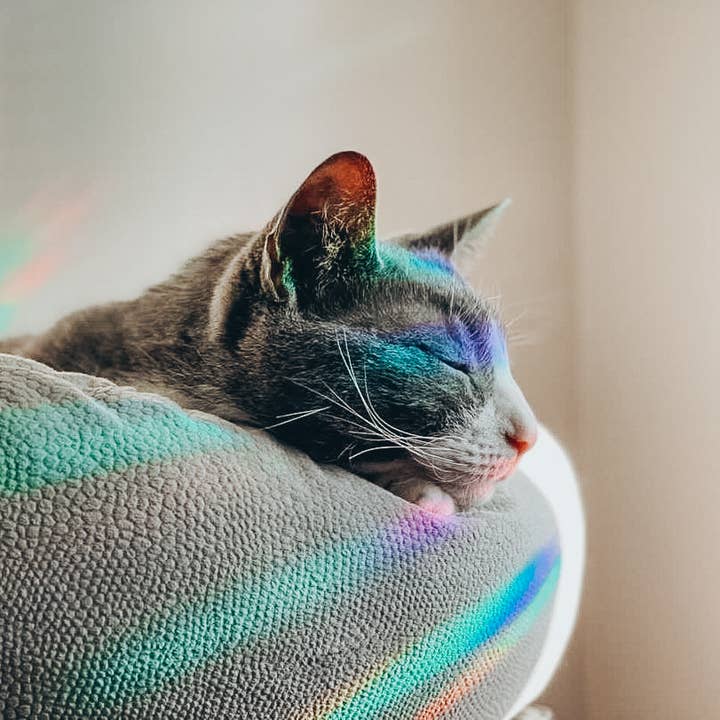 Scribbles and Doodlez – Großhandel Sonnenfänger – Mountain Tent | Sun Catcher Aufkleber mit Blumenmuster1