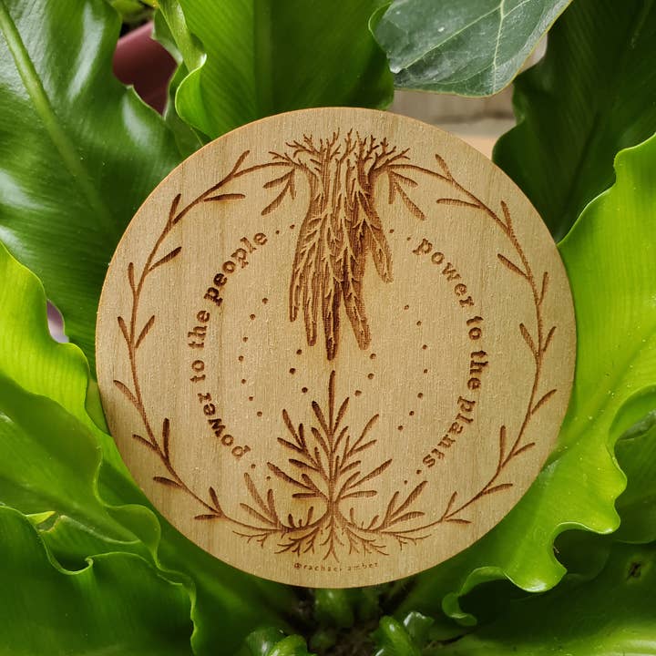Power to the People & Plants Wooden Sticker and other Purchase Wholesale reusable water bottles. Free Returns & Net 60 Terms on Faire trending on Faire.