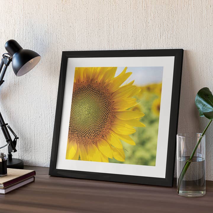 Fri Frakt Regnblommor10"x10" Svart inramad konst för wholesale av Lisa Herigon Photography