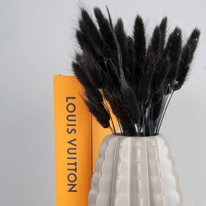 pampas studio uk - Wholesale Dried/Pressed Flowers - Bunny Tails Black