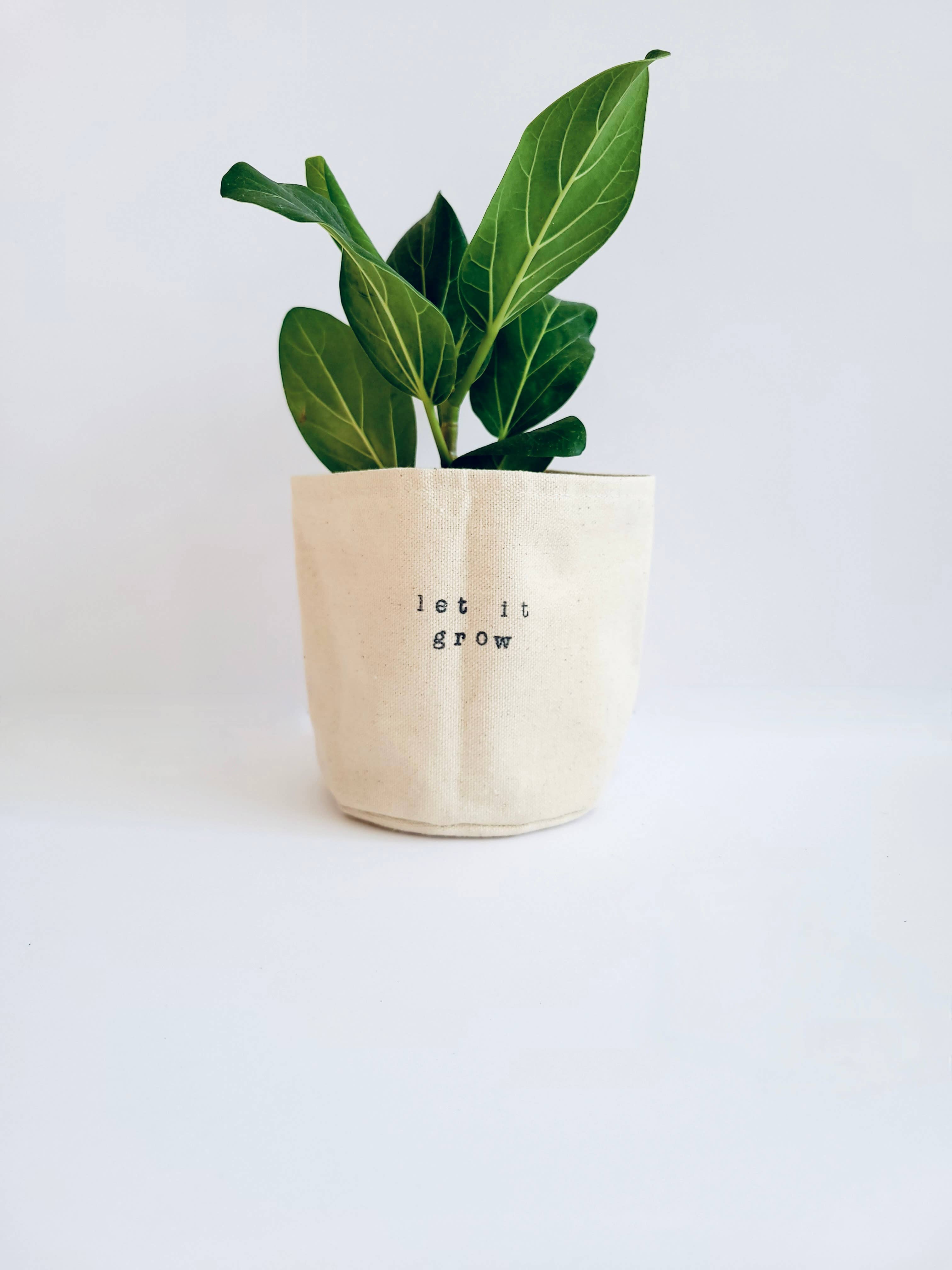 Leaf and Root Co. - Wholesale Plant Pot - Let it Grow Canvas Plant Pot Cover