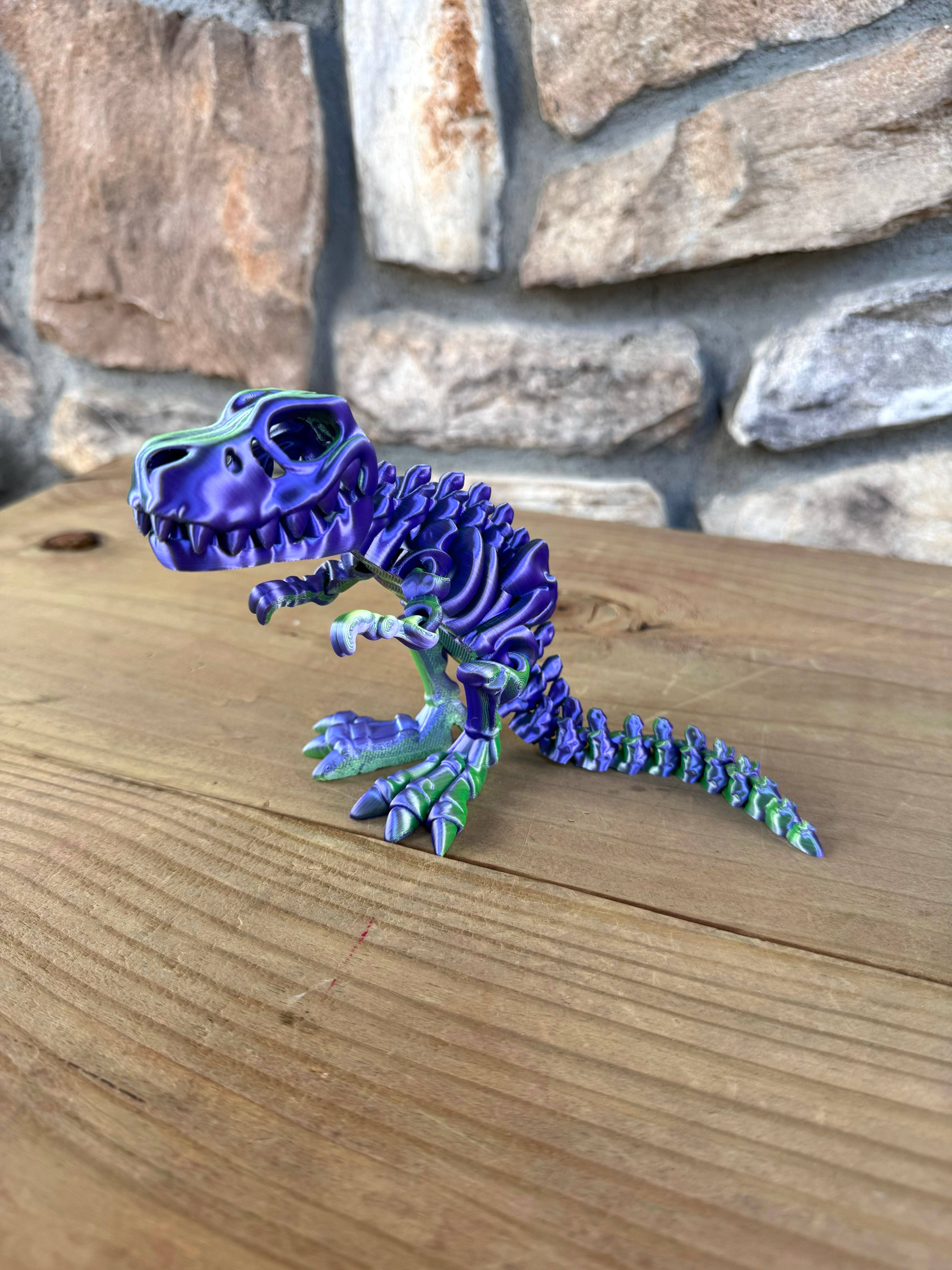 LNZ Custom Design - Wholesale Fidget Toy - Kids - Skeleton Dinosaurs18