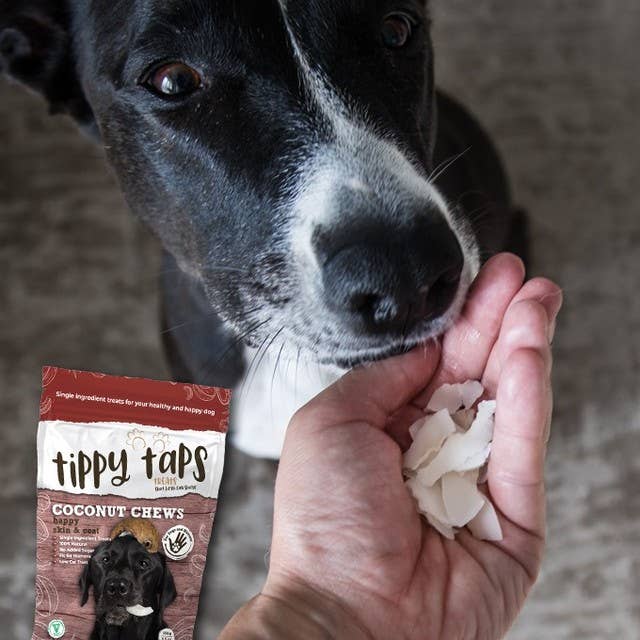 Tippy Taps Treats – Großhandel Leckerlis – Hund – Natürliche Hundesnacks, Kokos-Kauknochen 100 g, vegan & glutenfrei5