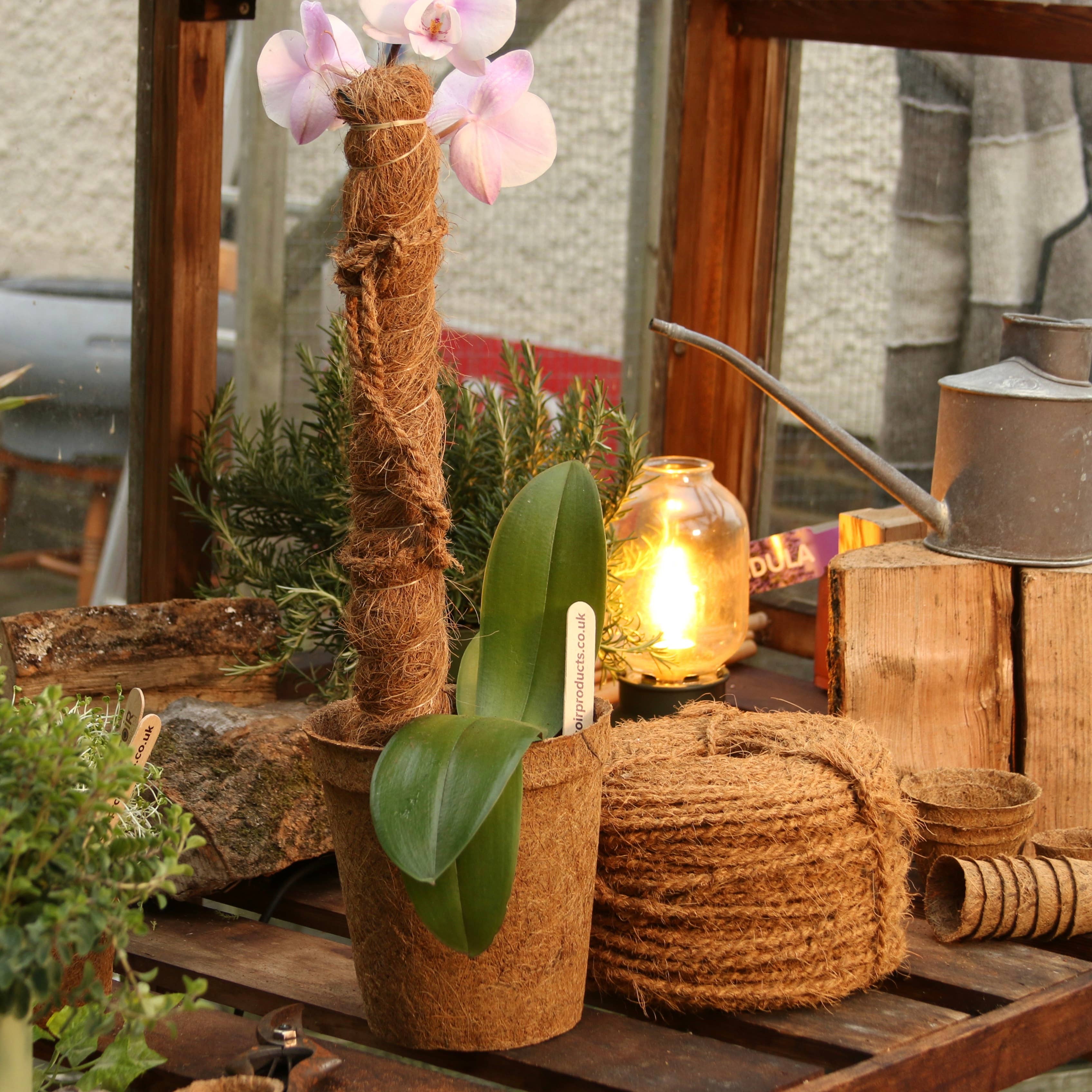 CoirProducts.co.uk of Salike Limited – ferramenta de jardinagem por atacado – Natural Coir MosSpole | Suporte de Plantas | Growpoles | Monstera2