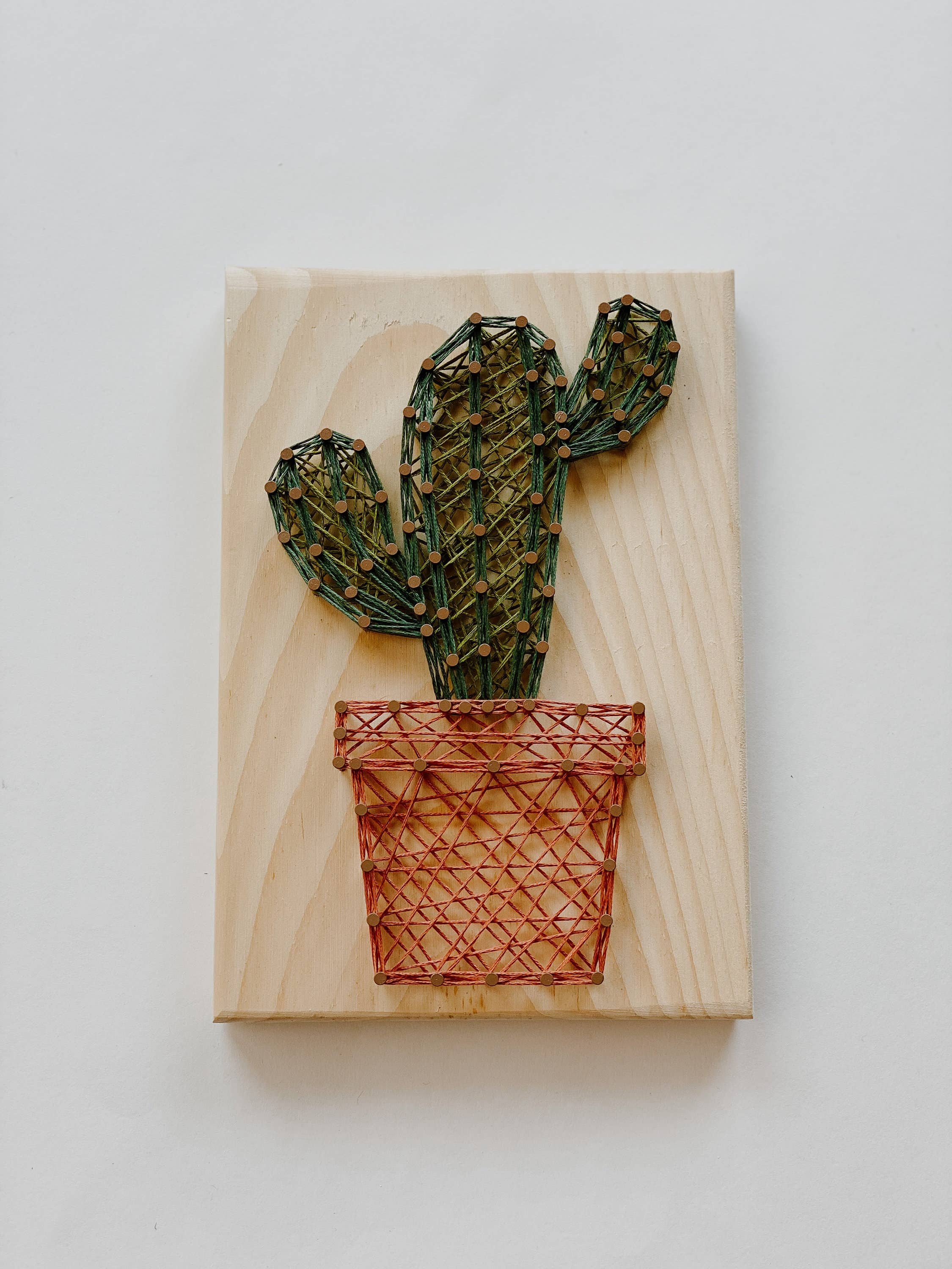Knot Really Art - Wholesale DIY Craft Kit - Cactus DIY String Art Kit1