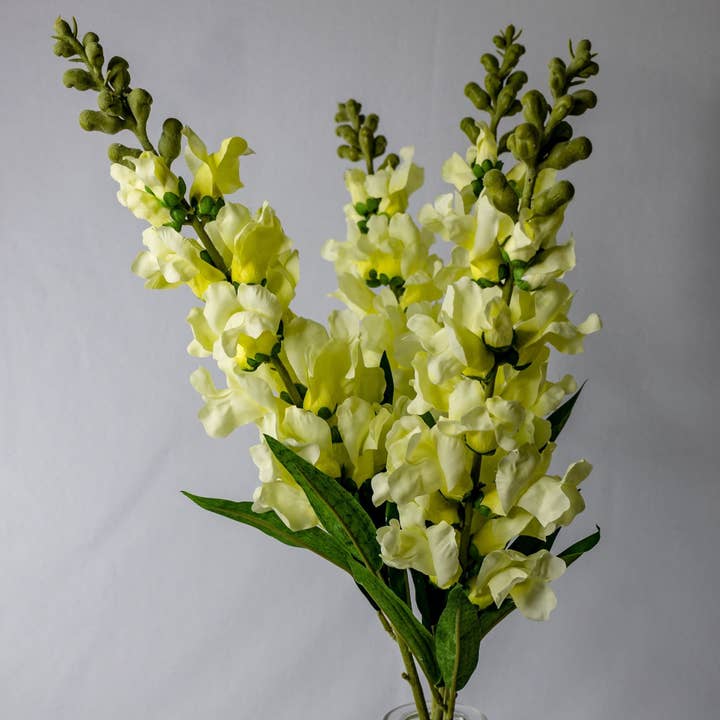 Lemon Snapdragons - Flores artificiales realistas para venta al por mayor de Realistic Artificial Flowers