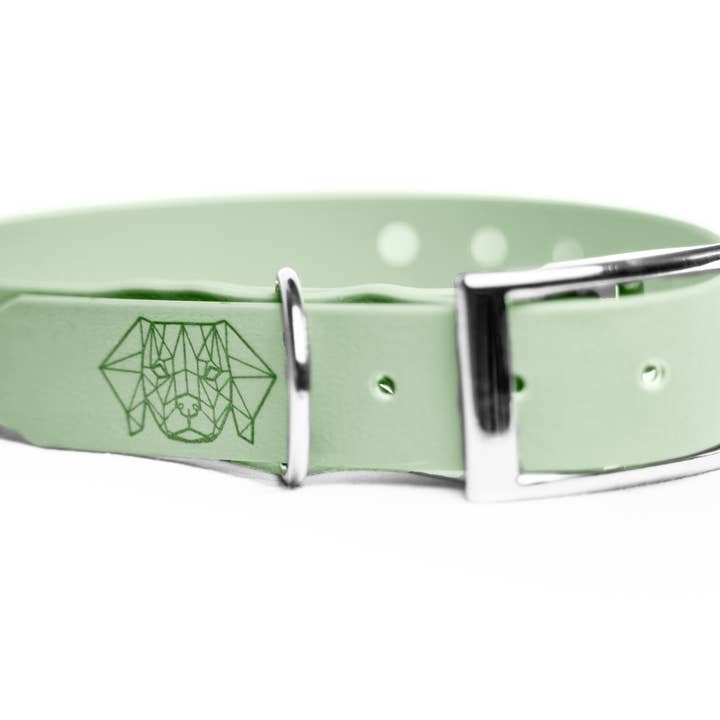 Collier vert eau en TPU pour la vente par Pets & Props