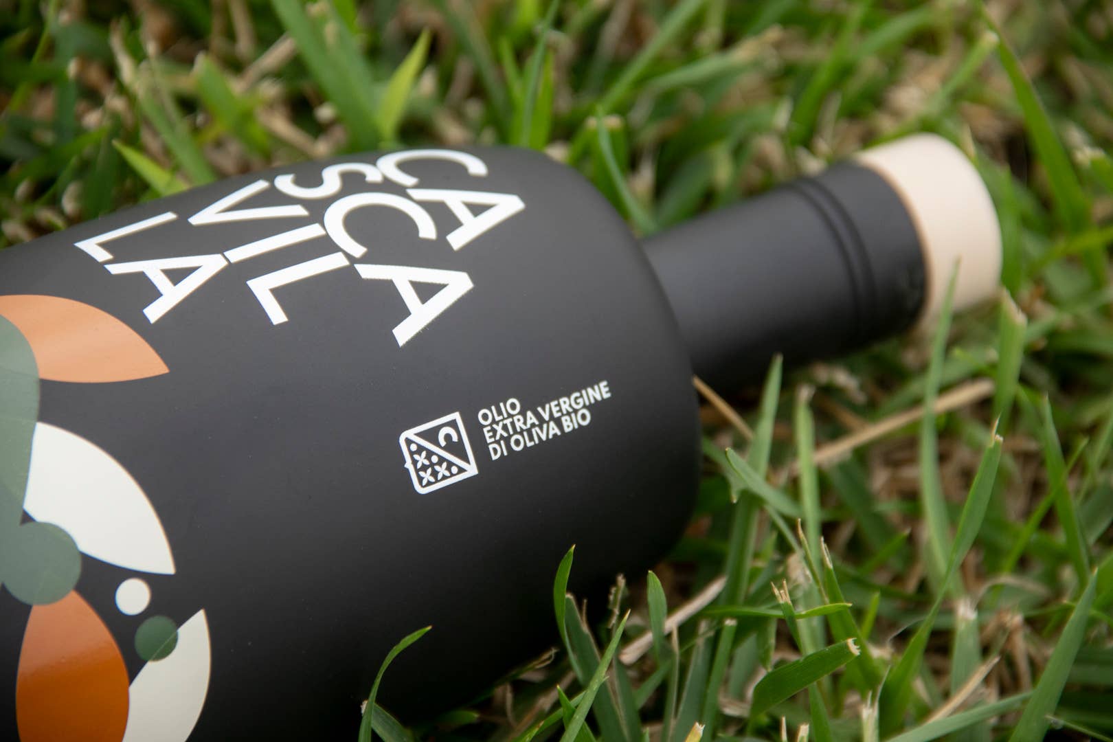 Olio Cascavilla - Wholesale Olive Oil - ORGANIC EXTRA VIRGIN OLIVE OIL3