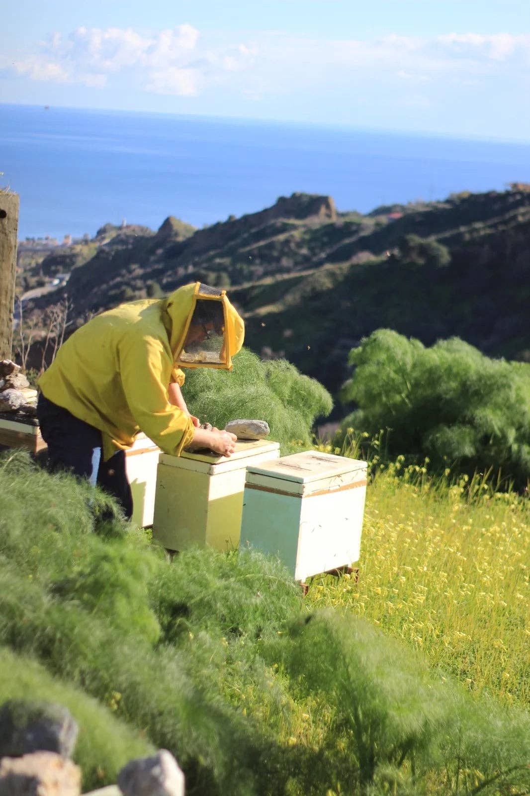 Boniviri BCorp - Wholesale Honey - Trio of Organic Sicilian Honey - Bestseller8