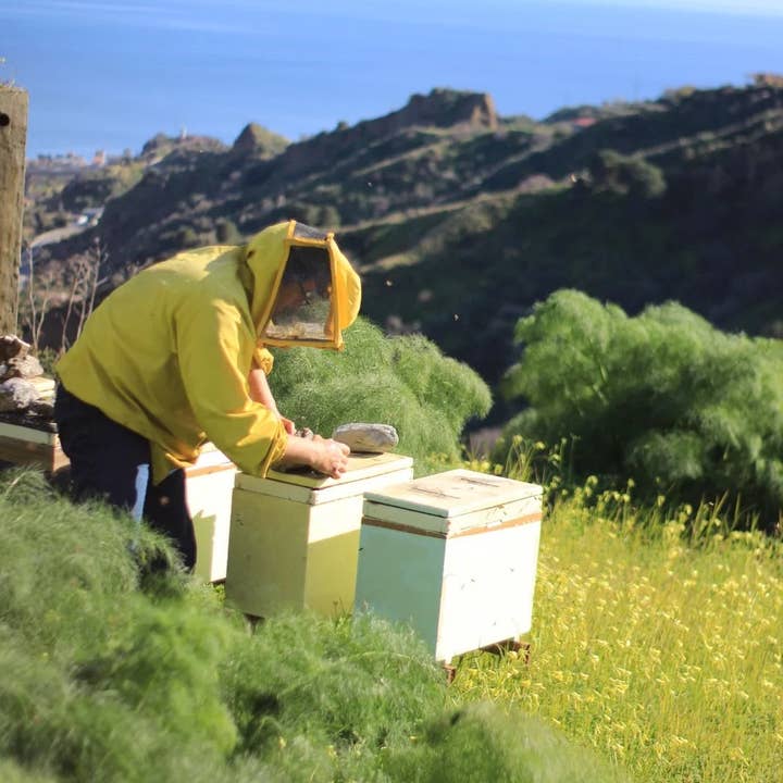 Boniviri BCorp - Wholesale Honey - Trio of Organic Sicilian Honey - Bestseller8