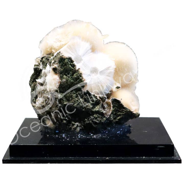 Oceanic Linkways Inc - Wholesale Decorative Tabletop Object - (PC)SPECIMEN - MESOLITE ON HEULANDITE IN MATRIX 3.25 X 4.25