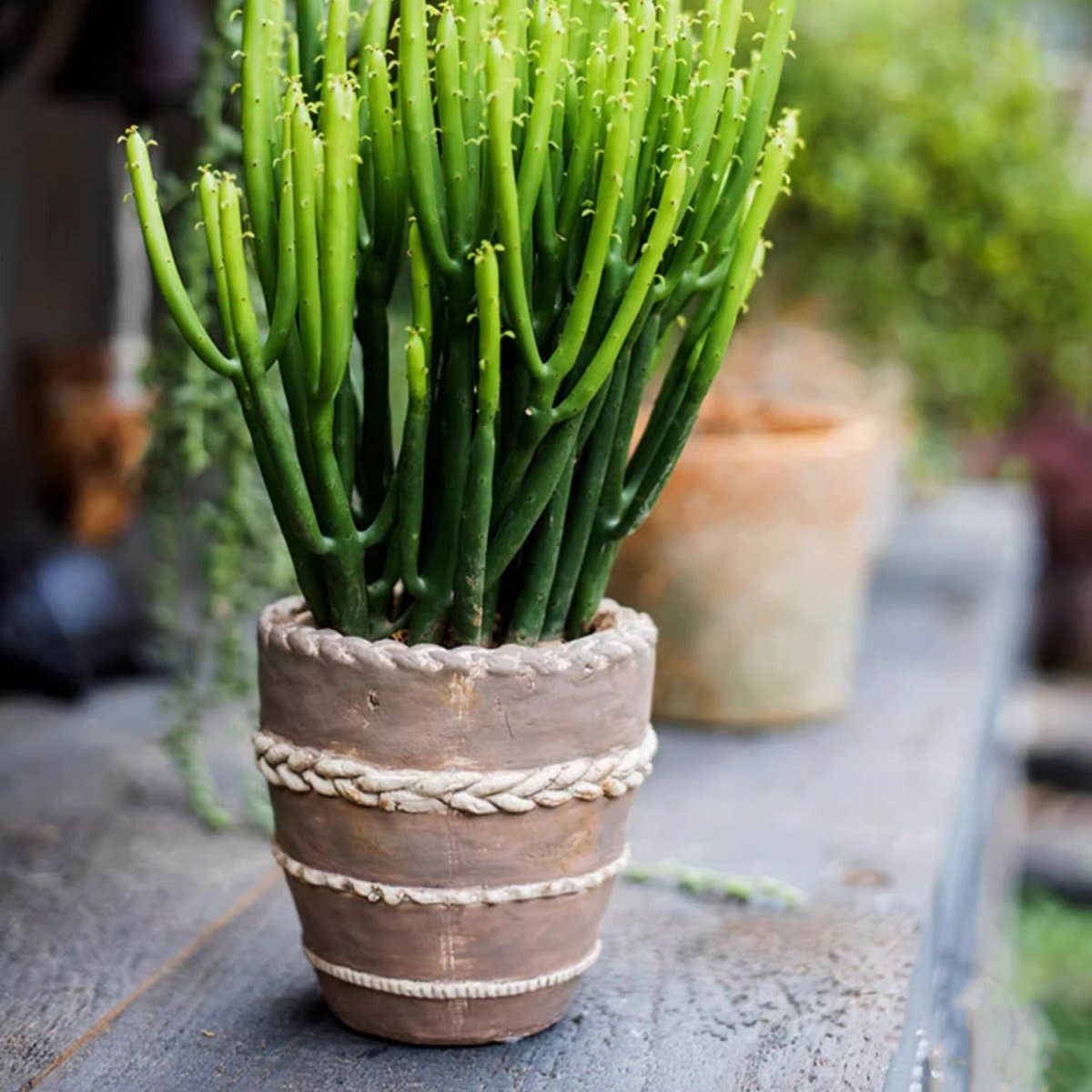 Rustic Reach - Vente Pot - Jardinière en terre cuite rouge Tasha7