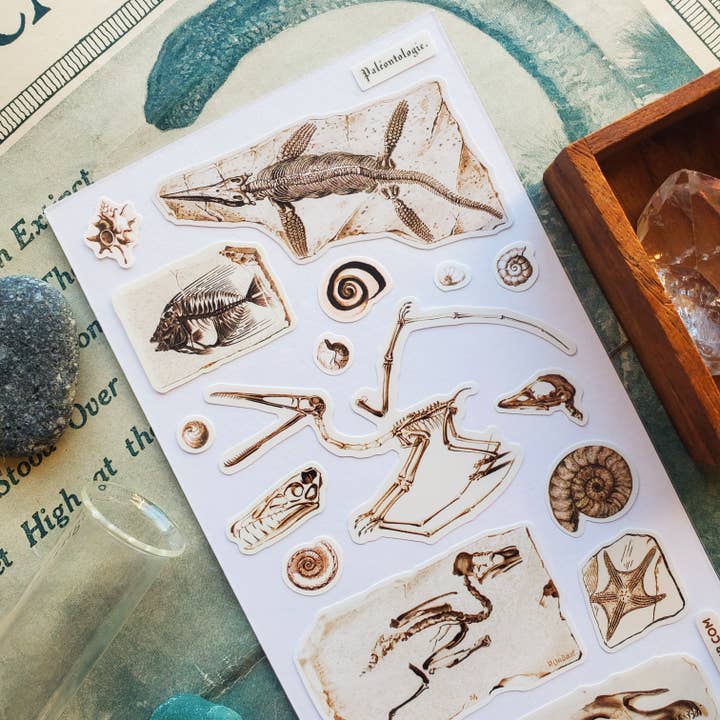 STICKII - Wholesale Sticker - Fascinating Fossils Sticker Sheet