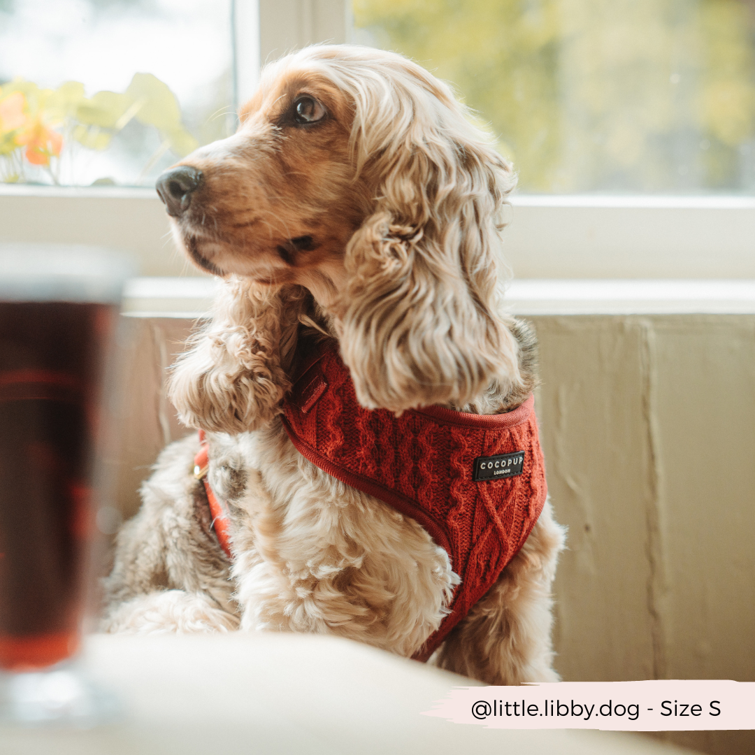 Cocopup London - Wholesale Pet Harness - Dog - Cable Knit Jumper Adjustable Neck HARNESS - Mulled Pup Wine11