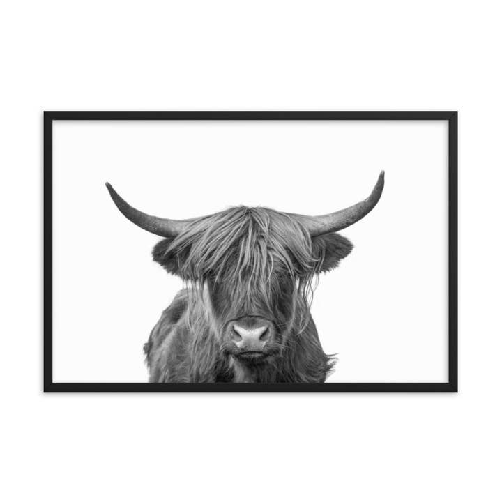 Highland Cow Black and White Wildlife / Animal Photo Framed for wholesale by Pipa Wall Art & Home Decor