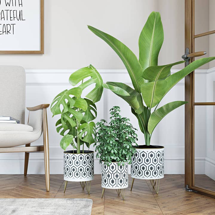 Aspire Home Accents - Wholesale Plant Pot - Andrey Mid-Century Planters (Set of 3)