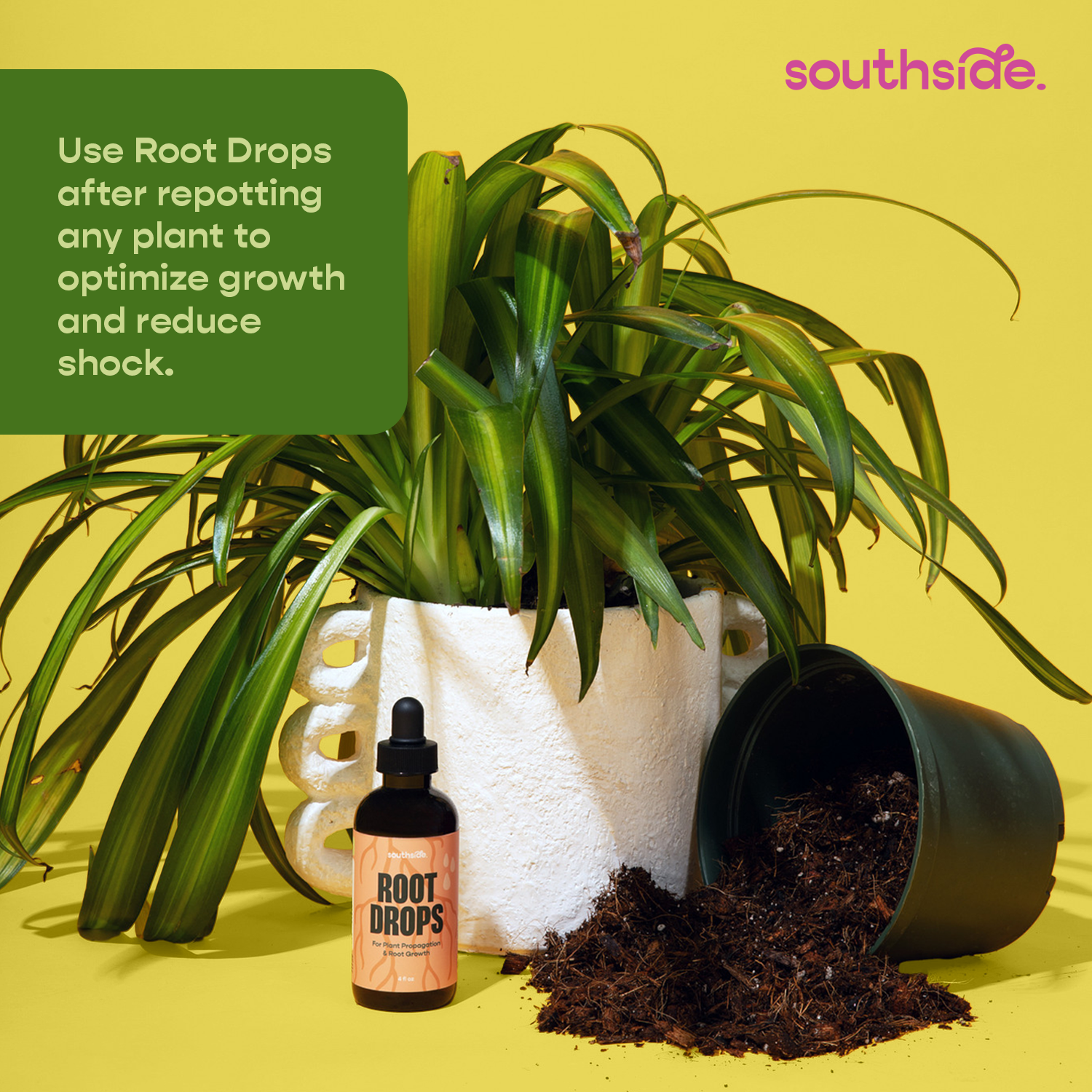 Southside. - Vente Engrais - Gouttes de racine - Pour les boutures et le rempotage4