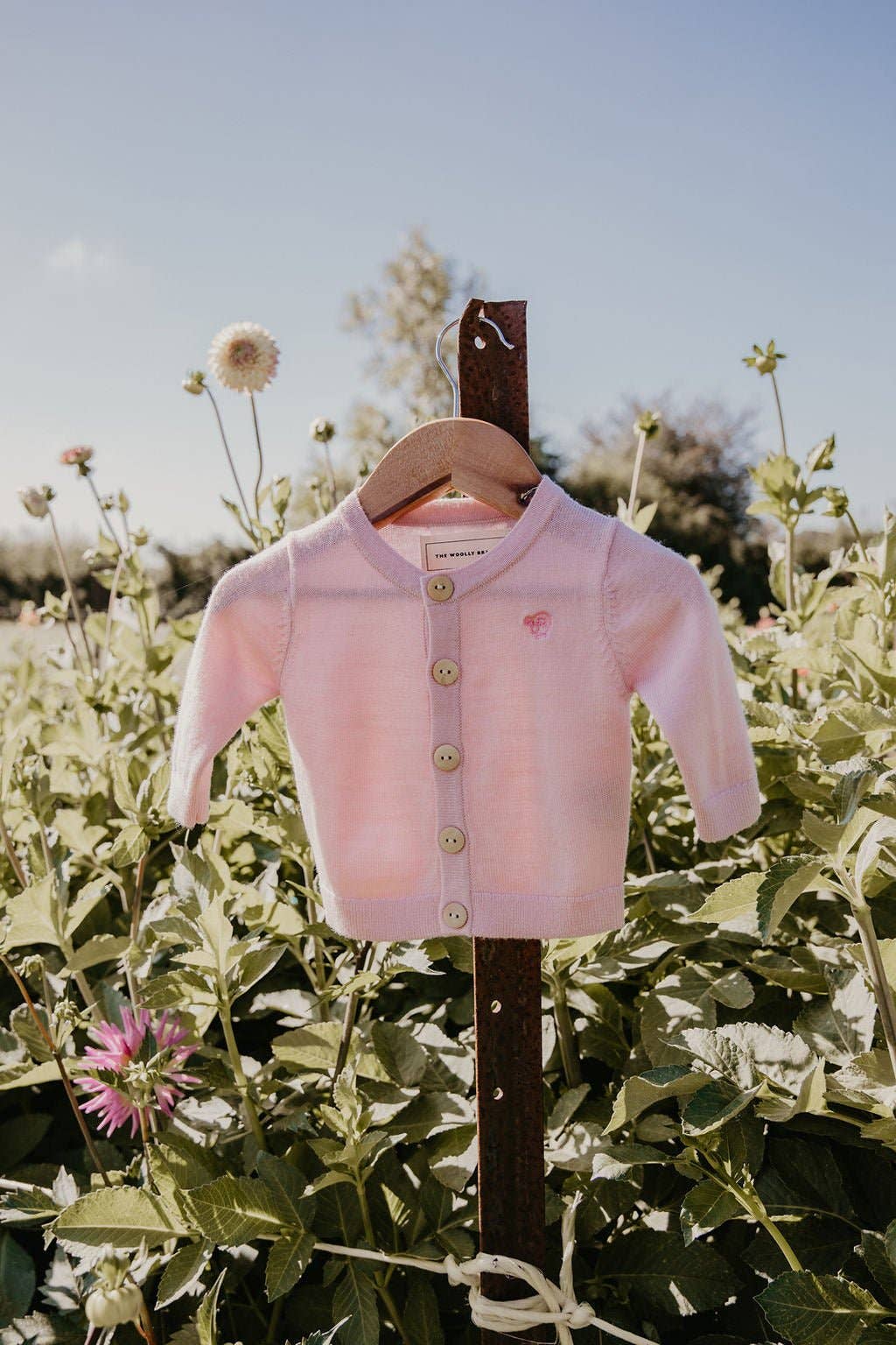 Blossom Essential Extra Fine Merino Wool Infant Cardigan for wholesale on Faire