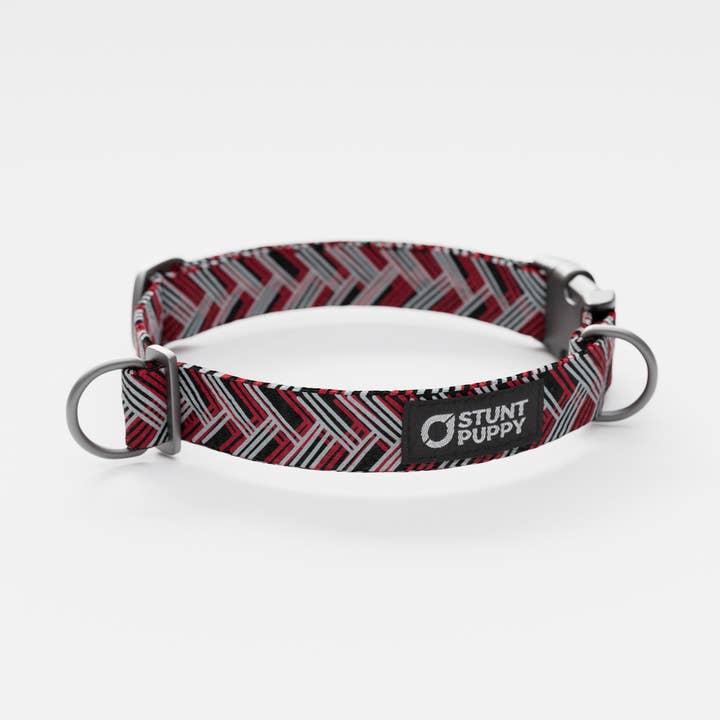Atlanta Fidos Everyday Collar for wholesale by Stunt Puppy