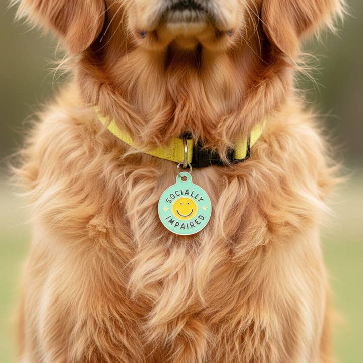 Bad Tags - Venta al por mayor Chapa de identificación - Perros - Placa de Perro de Esmalte con ID Escaneable - Socialmente Impedido1