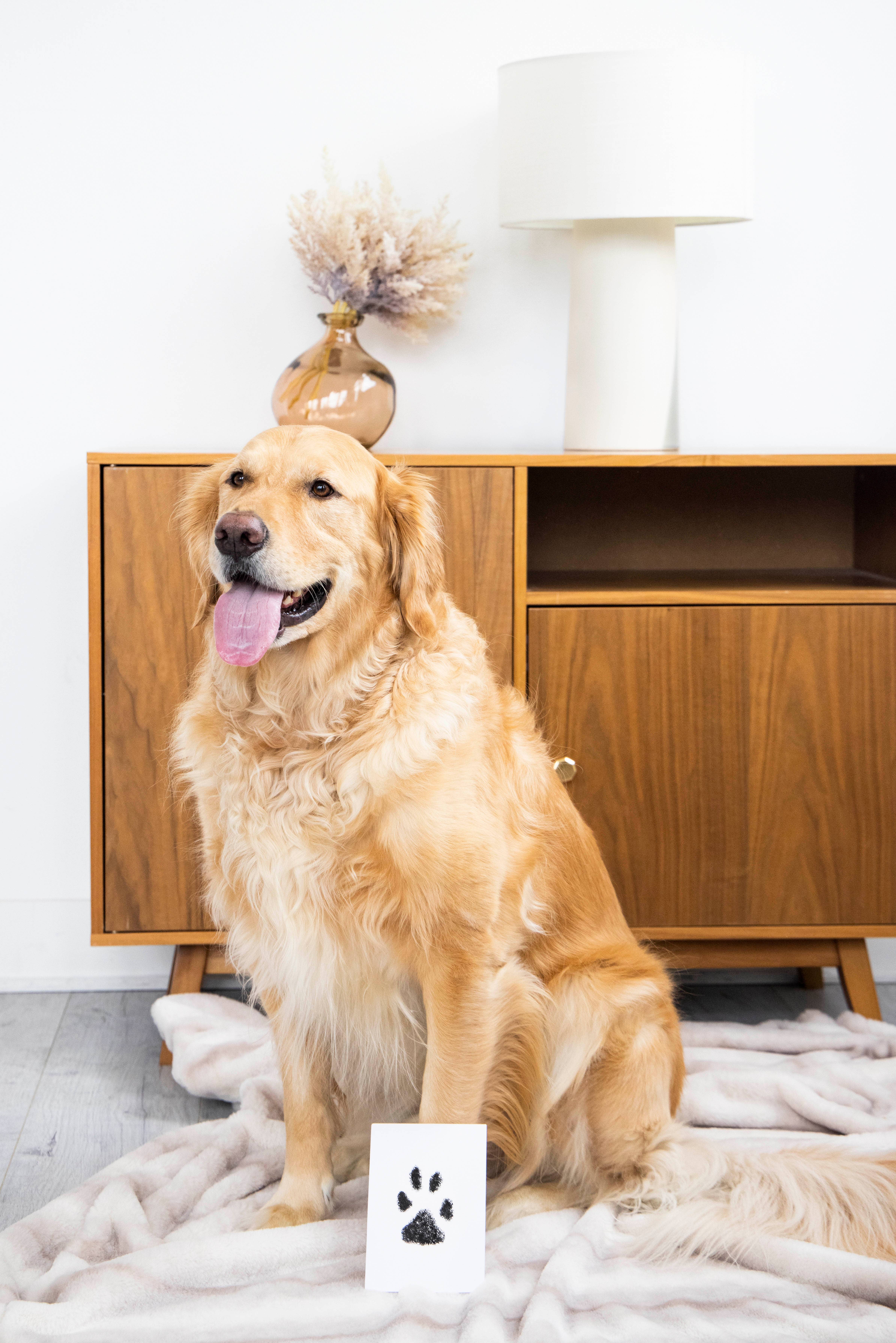 Pearhead - Vente Tampons encreurs - Tampon à encre Clean-Touch Pet Pawprint, moyen/grand, noir8