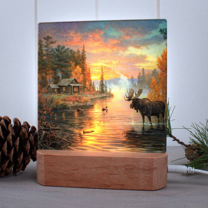 The Great North LED Nightlight for wholesale by Glow Decor