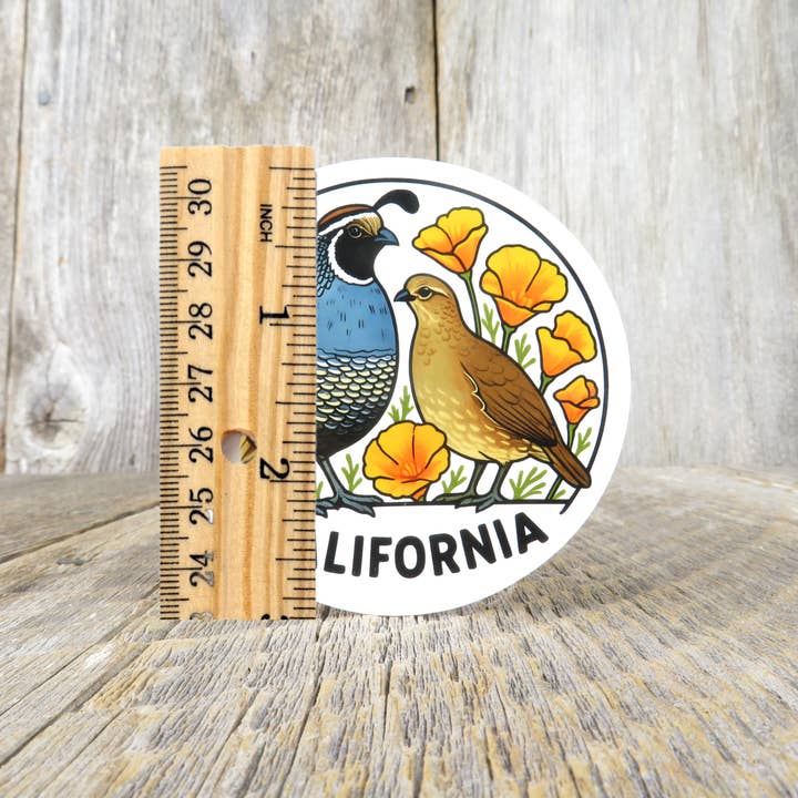Kirk's Krafts - Wholesale Sticker - California Quail Sticker State Bird Poppies Flower Travel Souvenir1