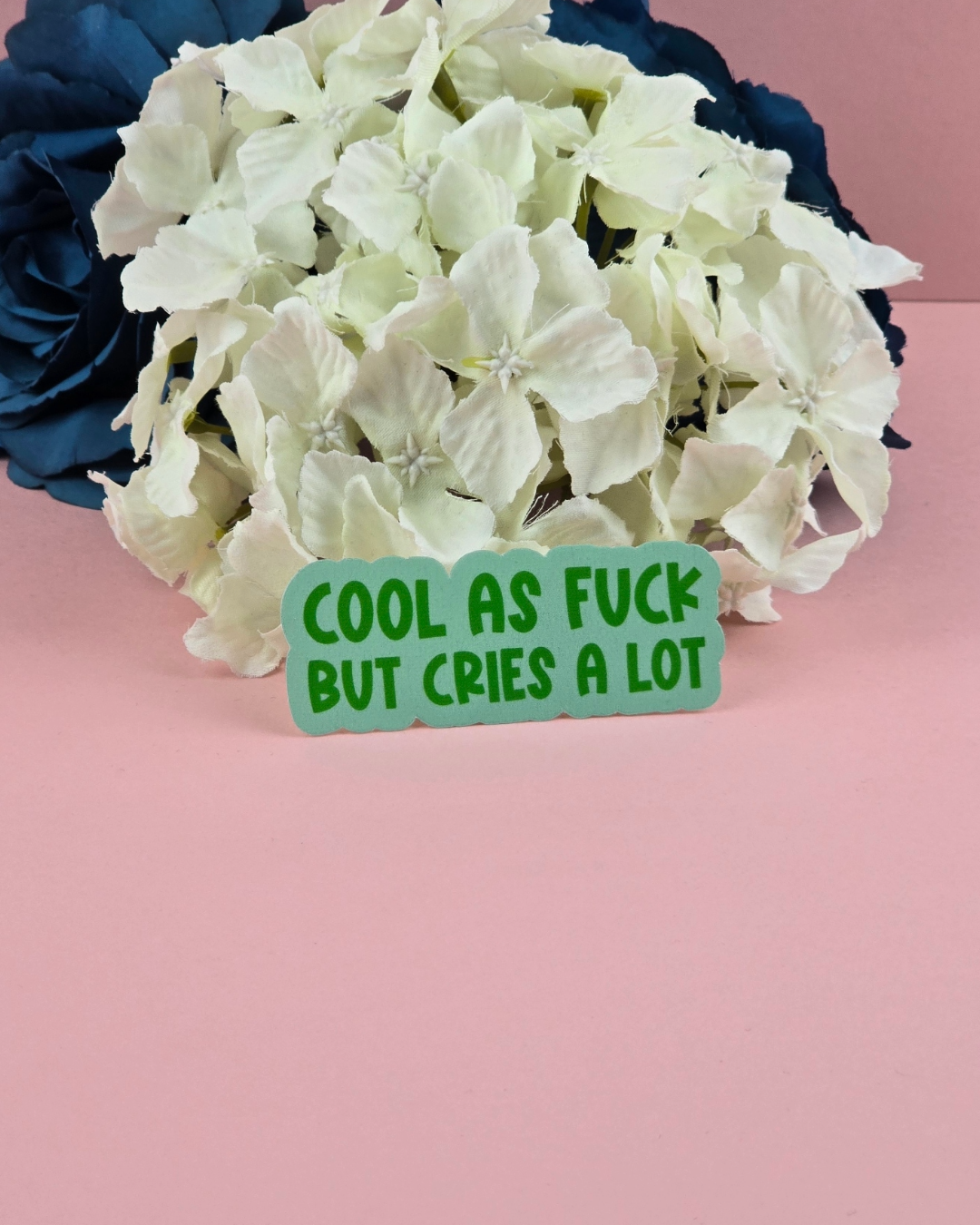 The Grumpy Tortoise - Wholesale Sticker - Waterproof Sticker - Cool as fuck but cries a lot - Sarcastic Sticker - Funny Sticker - Sassy1