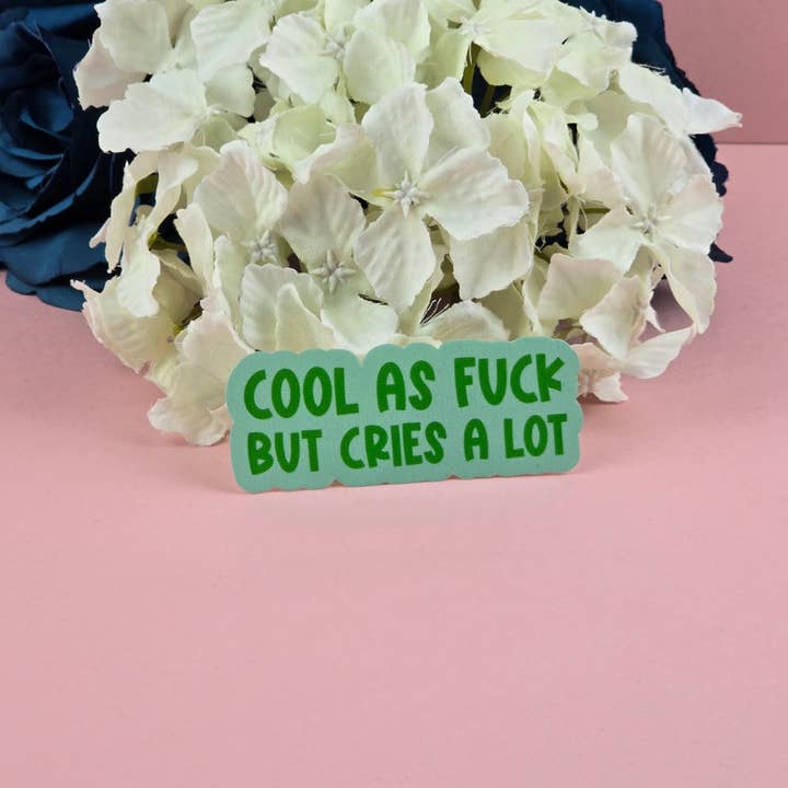 The Grumpy Tortoise - Wholesale Sticker - Waterproof Sticker - Cool as fuck but cries a lot - Sarcastic Sticker - Funny Sticker - Sassy1