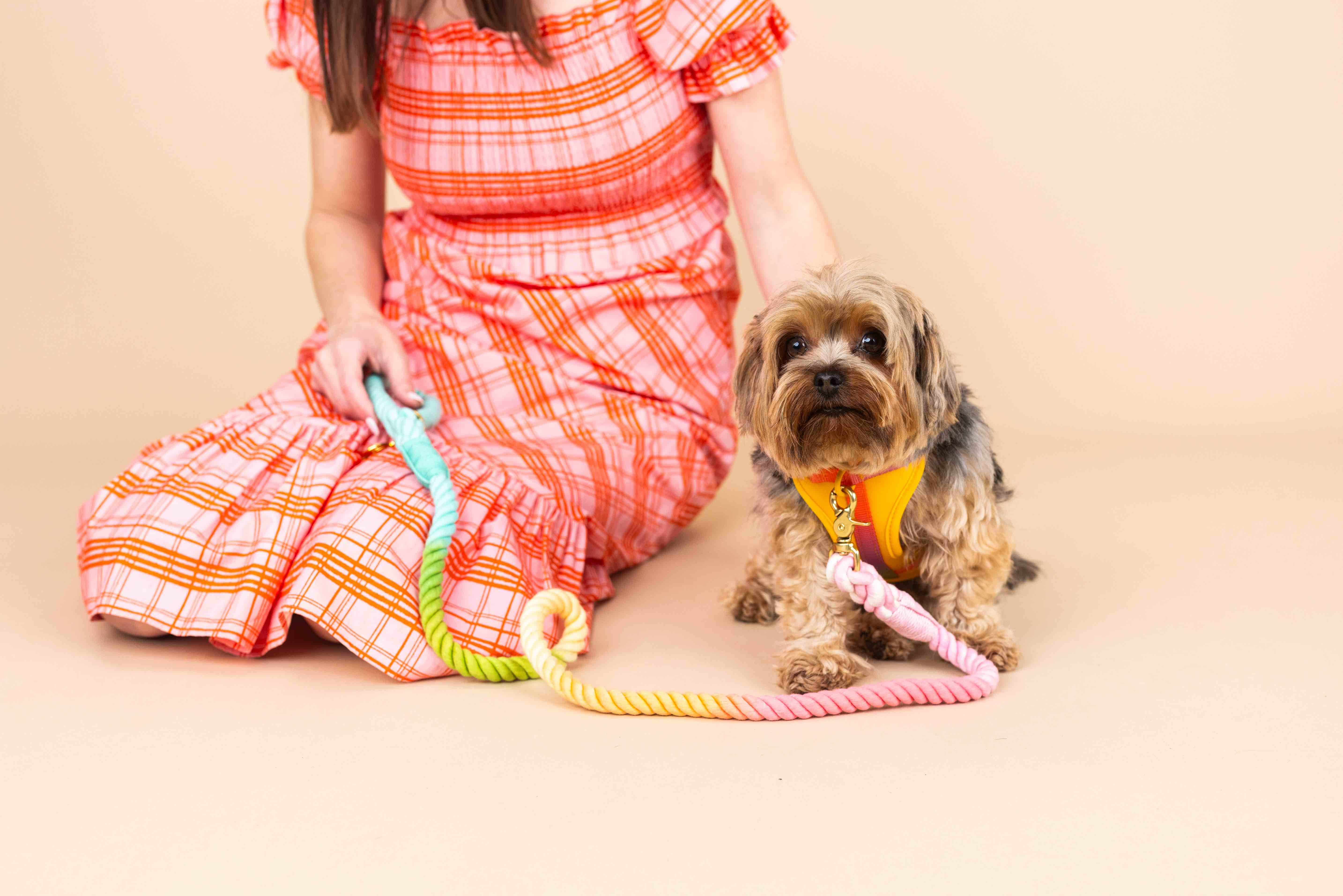 Pink Papyrus | Premium, Durable, & Stylish Dog Products - Wholesale Pet Harness - Dog - Kenna Dog Harness | Yellow Dog Harness | No Pull Dog Harness13