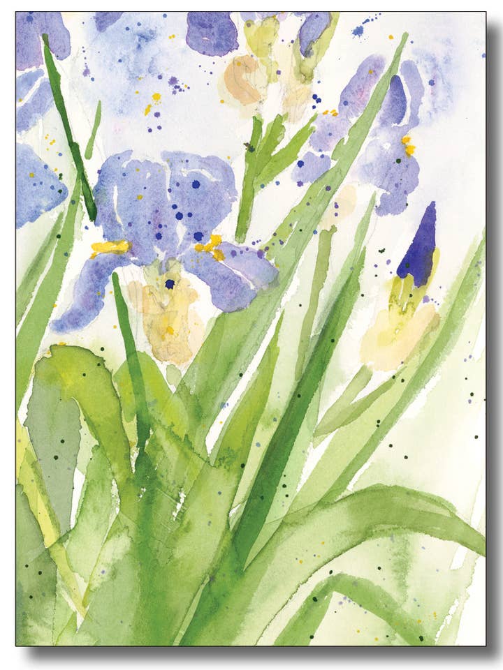 Iris - Birthday for wholesale by WORDS & WATERCOLORS BY PEG CONLEY