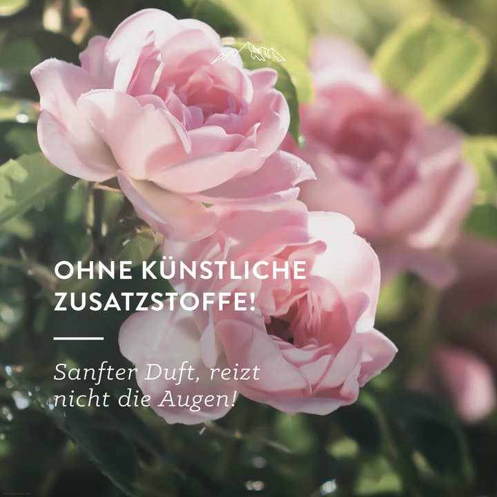 Allgäuquelle Naturprodukte GmbH - Wholesale Face & Body Mist/Water - Damascus Rose Rose Rose Water 100ml4