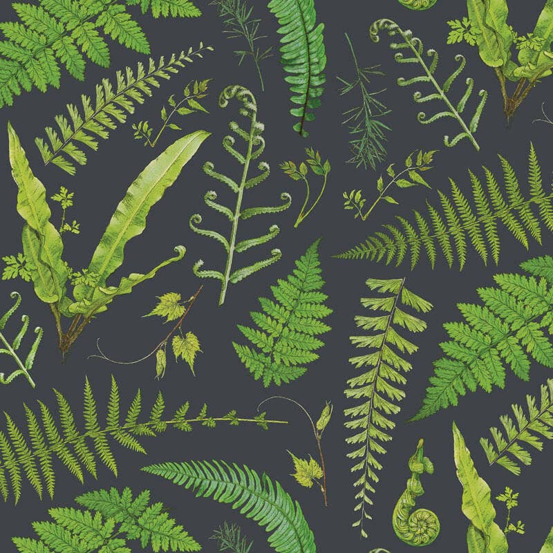 Brook Isle - Wholesale Disposable Placemat - Fern Specimen Paper Placemats (Set of 20)2