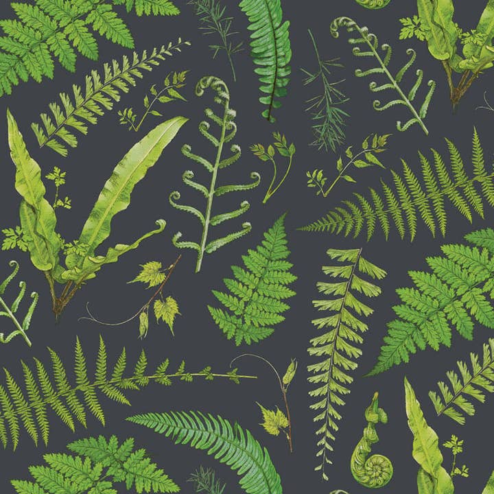 Brook Isle - Wholesale Disposable Placemat - Fern Specimen Paper Placemats (Set of 20)2