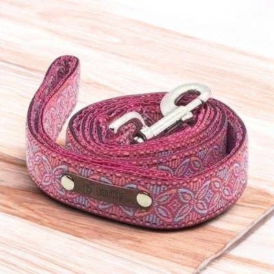 Correa de Desfile Canino Regal para venta al por mayor de Finnigan