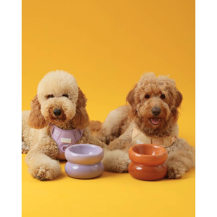 PEHOM - Wholesale Pet Bowl - Cat/Dog - Soufflé Pet Bowl - Purple