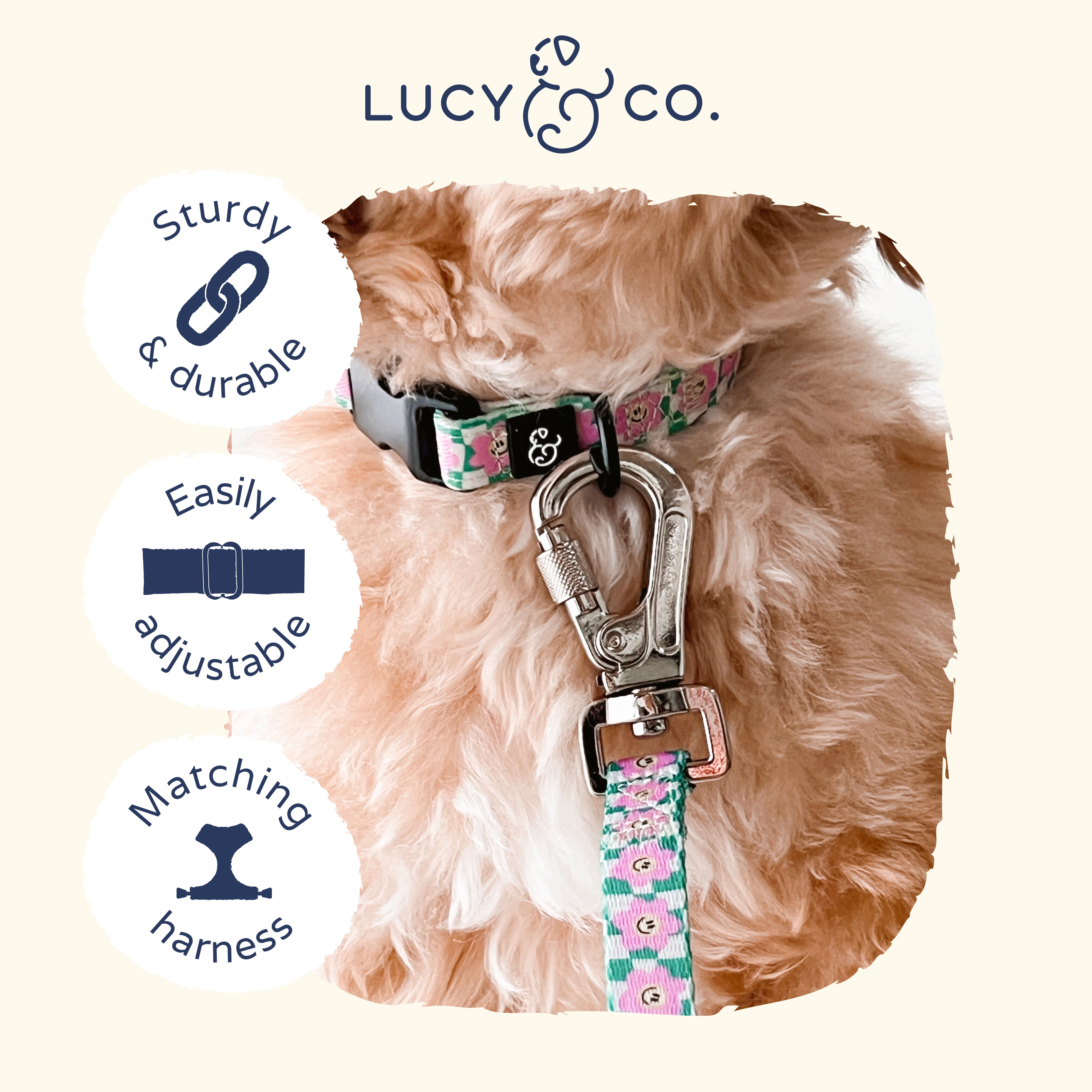 Lucy & Co. – Großhandel Haustierhalsband – Hund – Einfach Chill-Kragen3