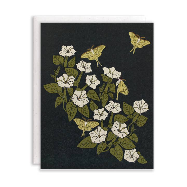 Luna Moon + Carta de Polilla para venta al por mayor de June & December